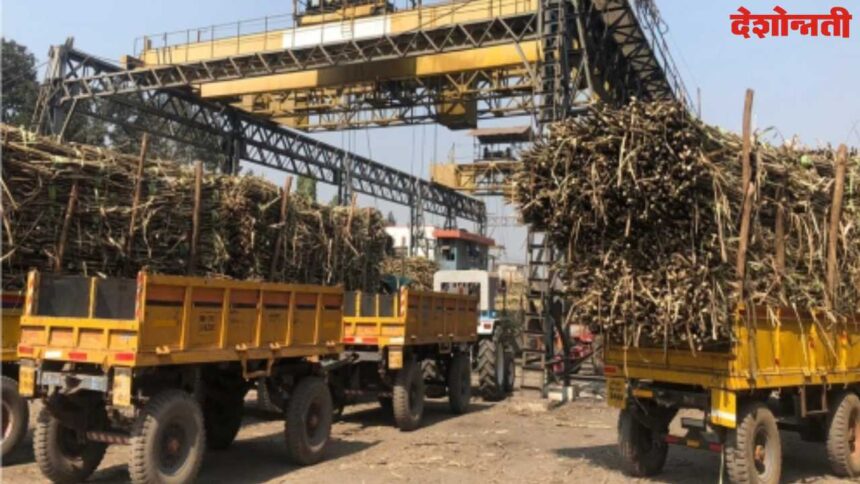 Sugarcane Farmers