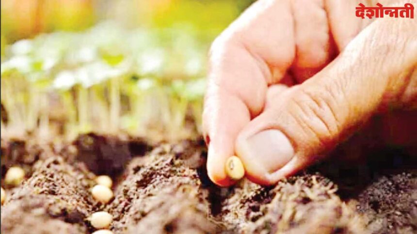 Bogus Seeds