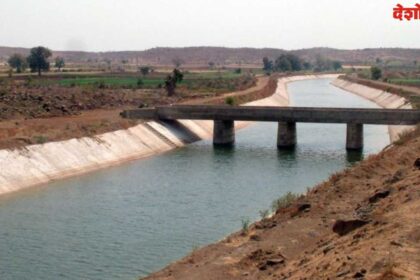 Irrigation Action Plan