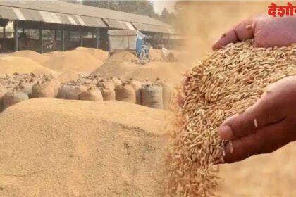 Paddy Procurement