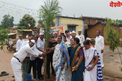 Tree Plantation