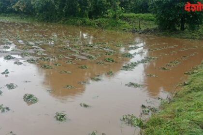 Heavy Rains