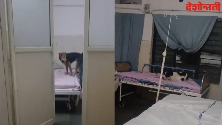 Jintur Hospital