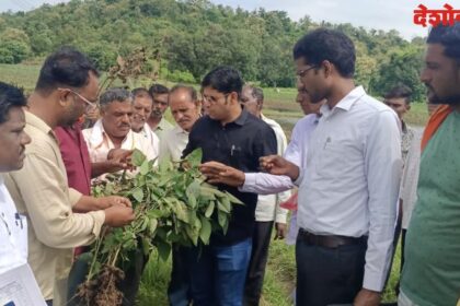 Collector Rahul Kardile