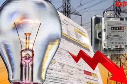 Electricity Consumers