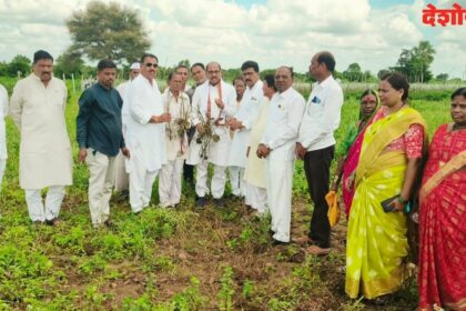 Crop Damage