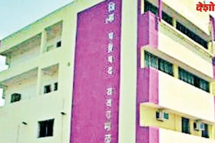 Municipal Elections