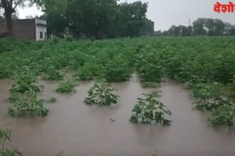 Ashti Heavy Rain
