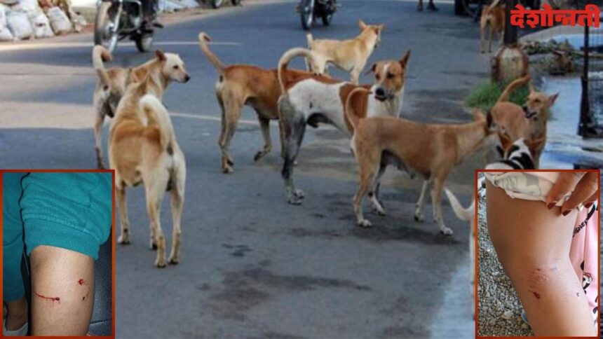 Street Dogs Bitten Case