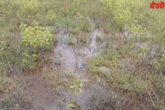 Minor Irrigation Department