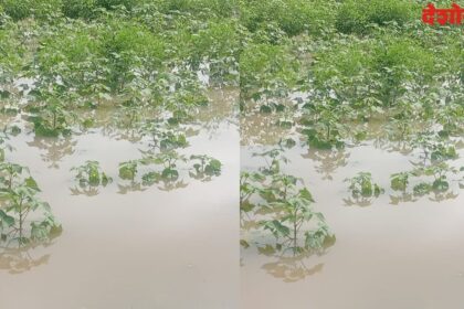 Heavy Rain