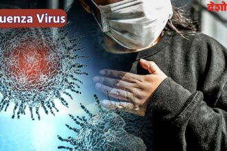 Malaysia Influenza Virus
