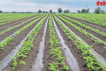 Crop Harvesting Experiment