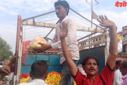 Marigold Flower Price
