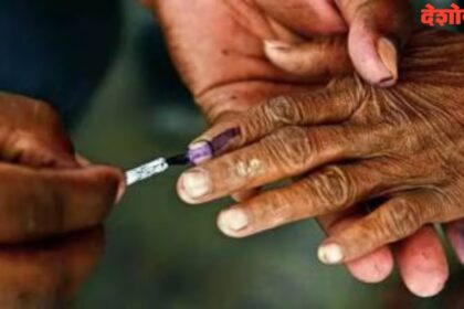 Local Government Elections