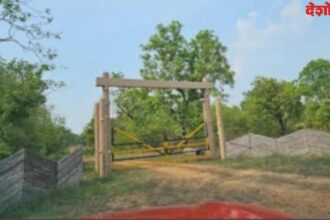 Nagzira Tiger Reserve