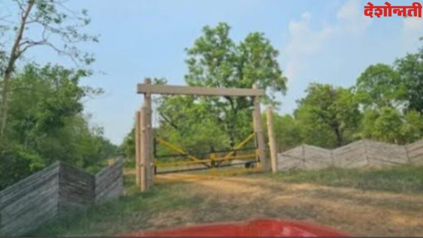 Nagzira Tiger Reserve