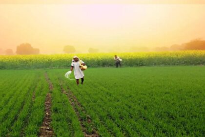 Paravaritan Farmers Union