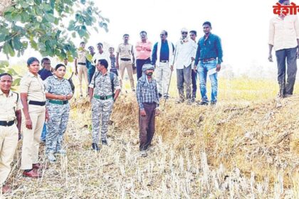 Farm Access Road Cleared